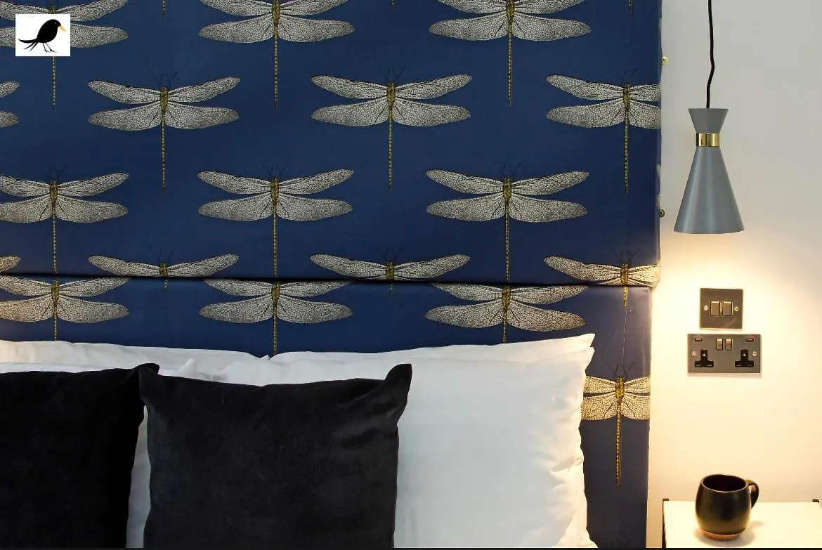 Blackbird Accommodation And Luxury Apartments Room 11 Blackpool Reino Unido